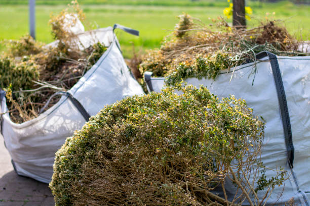 Best Demolition Debris Removal  in Haddon Heights, NJ