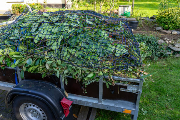 Best Dumpster Rental Services  in Haddon Heights, NJ